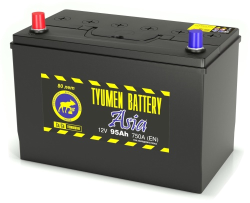 Аккумулятор Tyumen Battery ASIA 95Ah 750A (борт)  пр. пол. (+ -) 306x175x225