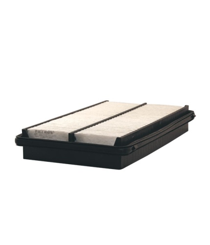Фильтр воздушный FILTRON AP102/2 (C2726)
