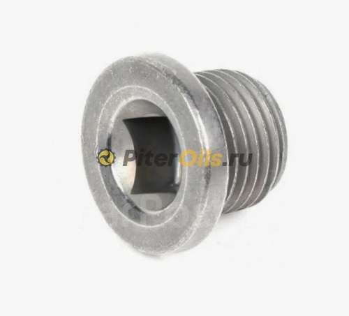 RENAULT Пробка масляного поддона M16x1.5 ключ 8 7703075348 