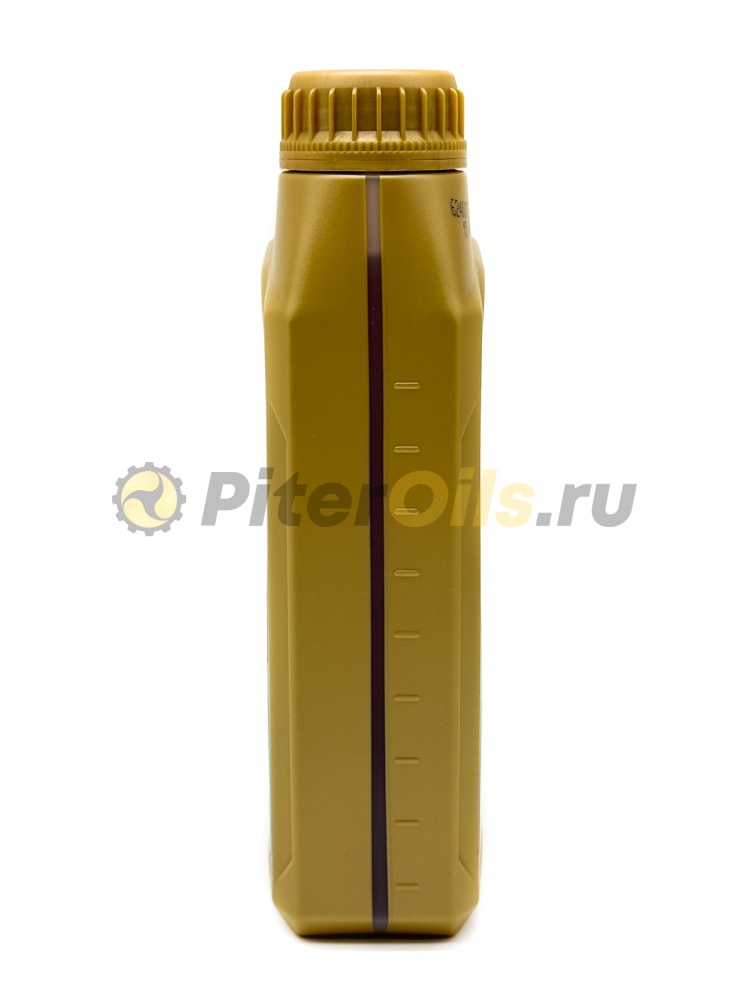 Petronas Syntium 5000 DM 5W30 (1л) 70957E18EU