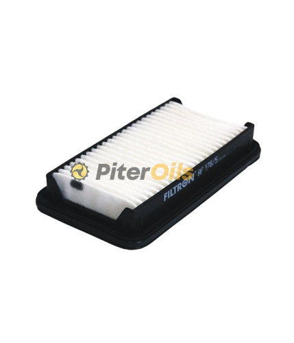 Фильтр воздушный FILTRON AP176/5 (C23004)