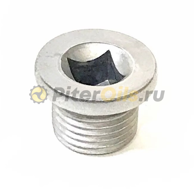 NISSAN Пробка сливная 1112800Q0B