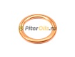 ELRING Прокладка сливной пробки 813052 (Citroen/Peugeot 0313.38, Renault 331729798R) 16мм/22мм/2мм
