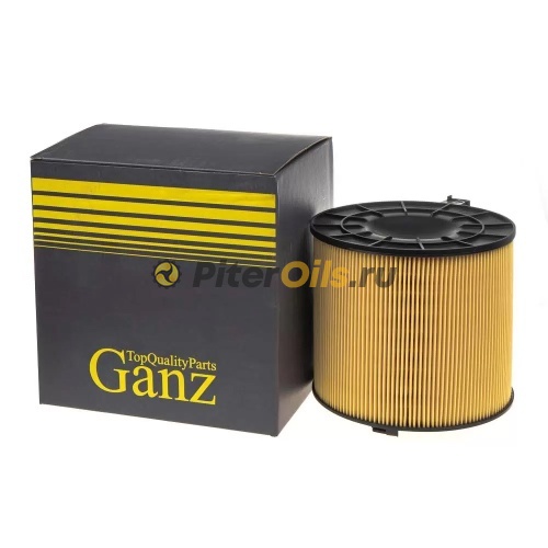 GANZ Фильтр воздушный GIR04259 (C17013)