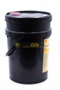 Shell Corena Oil S2 P 100 (20 л) масло компрессорное 550026197