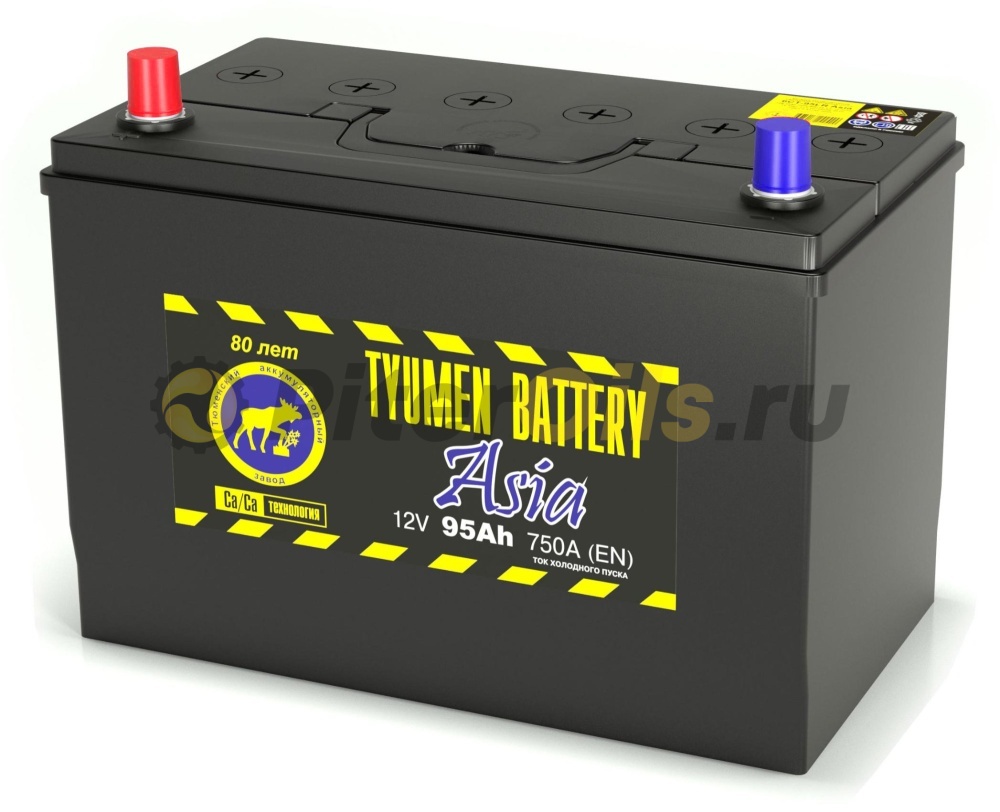 Аккумулятор Tyumen Battery ASIA 95Ah 750A (борт)  пр. пол. (+ -) 306x175x225