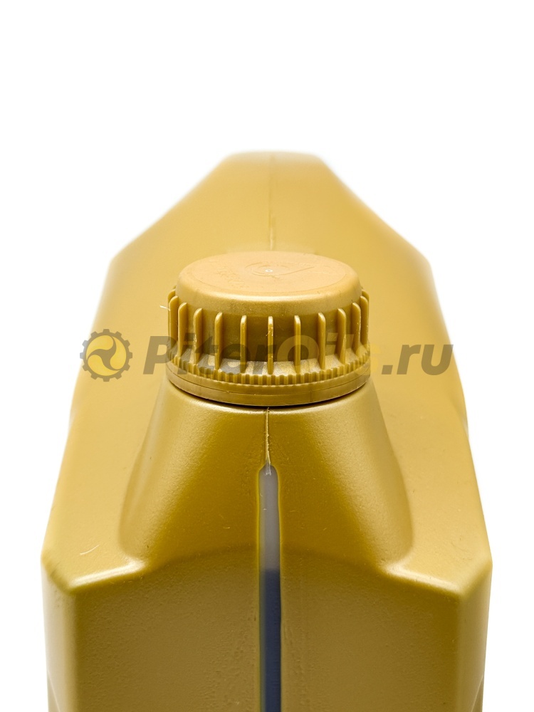 Petronas Syntium 5000 XS 5W30 (5л) 70956M12EU