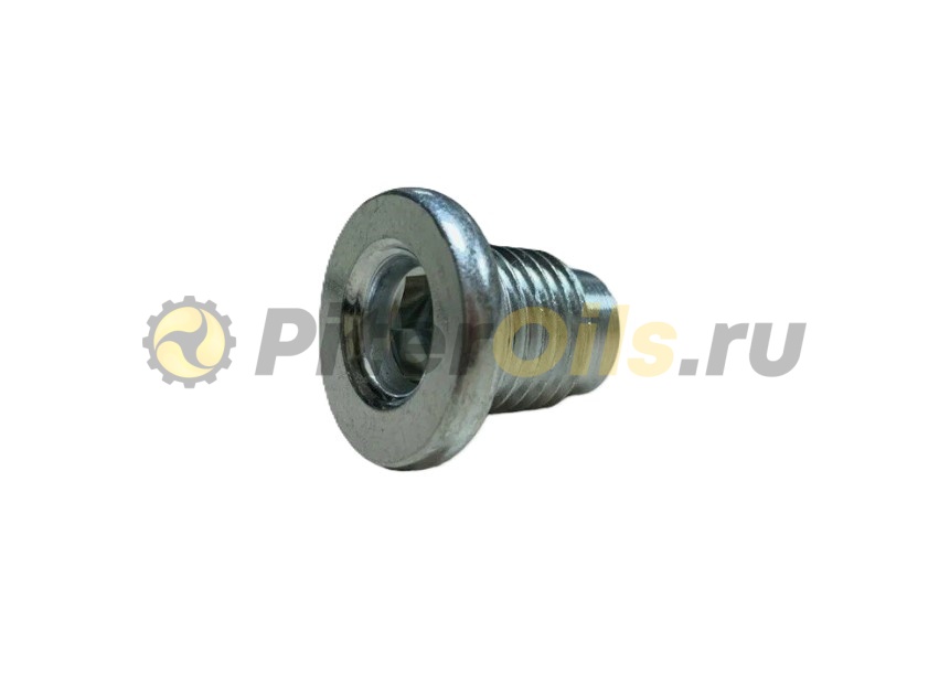 MAZDA  Болт сливной FS5021249