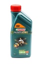 Castrol Magnatec 10w40 A3/B4 (1л) 15CA23